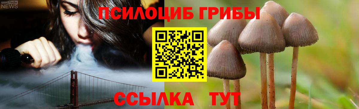 Псилоцибиновые грибы Cubensis  Вход с VPN  Псилоцибиновые грибы Cubensis  Ирбит 